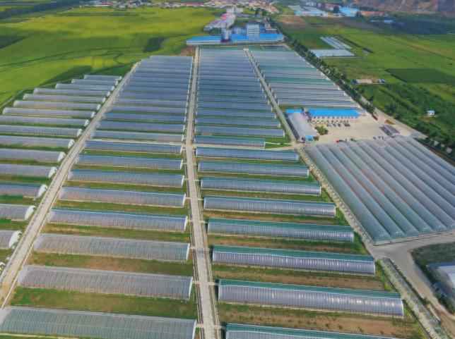 奥仁格管道：吉林热浸塑涂塑钢管驱动金丰现代农业园GRS高效节能温室革命