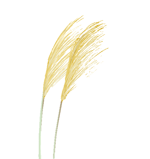 宁夏钢铁传奇:从第一炉钢到创新巅峰 宁夏钢铁传奇:从第一炉钢到创新巅峰