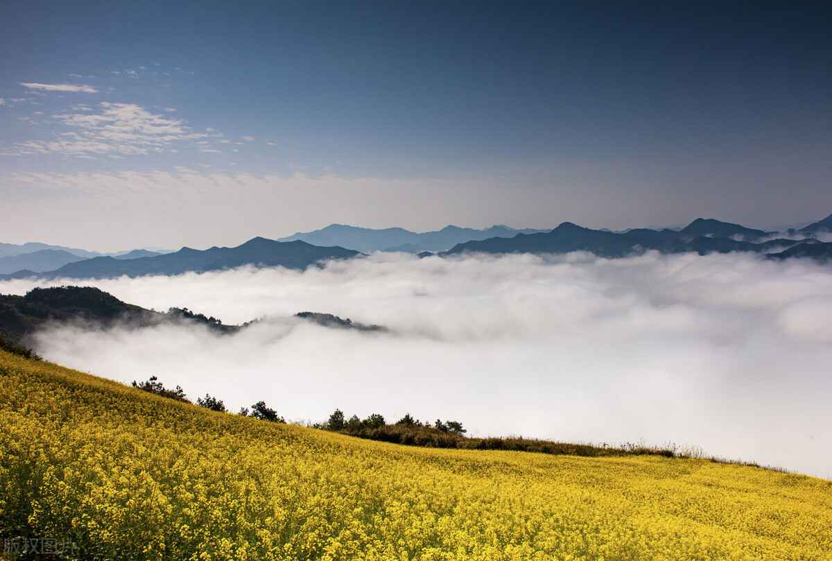 淮南热浸塑电力涂塑钢管 淮南热浸塑电力涂塑钢管