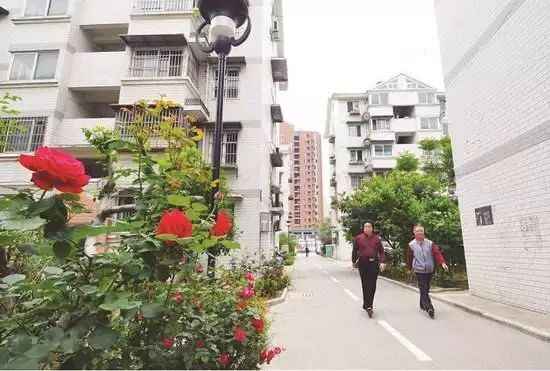 福建老旧小区改造征求意见:全方位升级门窗隔音、拆除违建、加装门禁、拓宽道路 福建老旧小区改造征求意见:全方位升级门窗隔音、拆除违建、加装门禁、拓宽道路