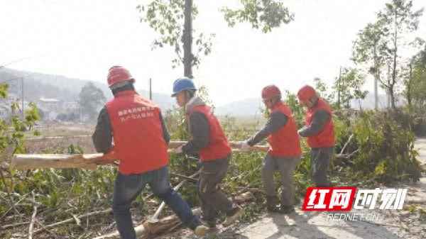 郴州电力管 国网资兴市供电公司：清除线路“拦路虎” 守护电力“生命线”