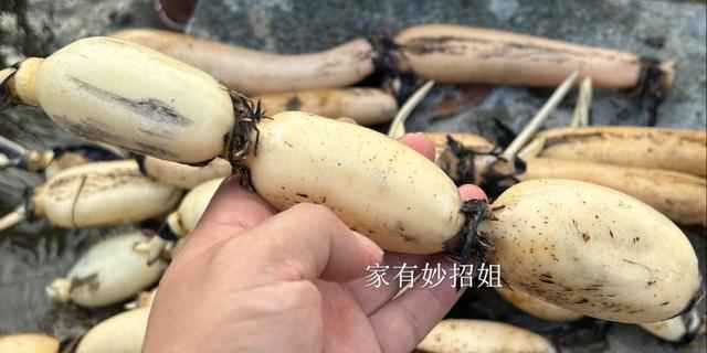 电力管9孔 90%的人都买错!莲藕“7孔”和“9孔”差别巨大,弄懂再下锅 电力管9孔 90%的人都买错!莲藕“7孔”和“9孔”差别巨大,弄懂再下锅