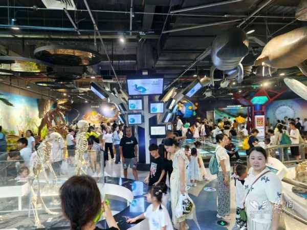 电力科技探索:青少年研学活动点燃科学梦想 电力科技探索:青少年研学活动点燃科学梦想