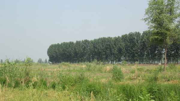 口述中国|雄安⑤知鱼善捕的老镇长:休渔期监管要到位 口述中国|雄安⑤知鱼善捕的老镇长:休渔期监管要到位