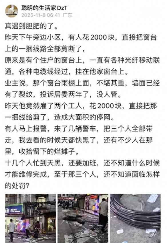 广州业主投诉“乱拉电线”无果，花2000块剪断整片小区电缆线