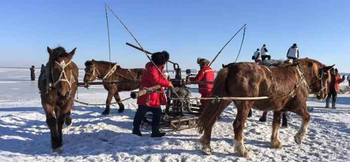 白山电力碳素管 吉林：白山与黑水