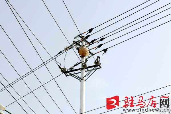 电力蜂窝管16孔:国网泌阳县供电公司消除蜂窝隐患,保障供电安全 电力蜂窝管16孔:国网泌阳县供电公司消除蜂窝隐患,保障供电安全